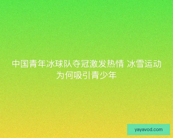 中国青年冰球队夺冠激发热情 冰雪运动为何吸引青少年